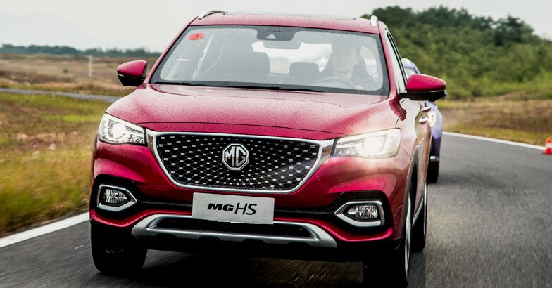 mg-hs mg-hs