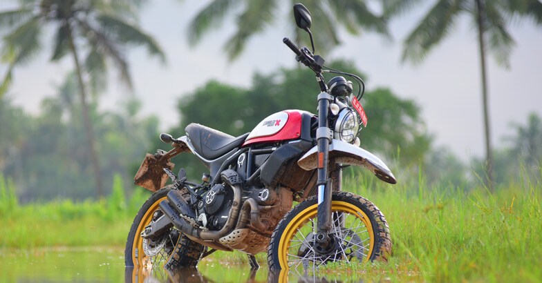 ducati-scrambler-desert-sled ducati-scrambler-desert-sled