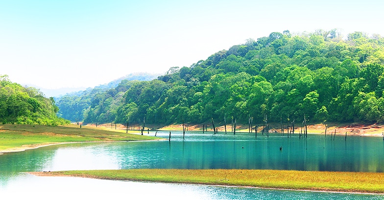 thekkady-lake-view thekkady-lake-view