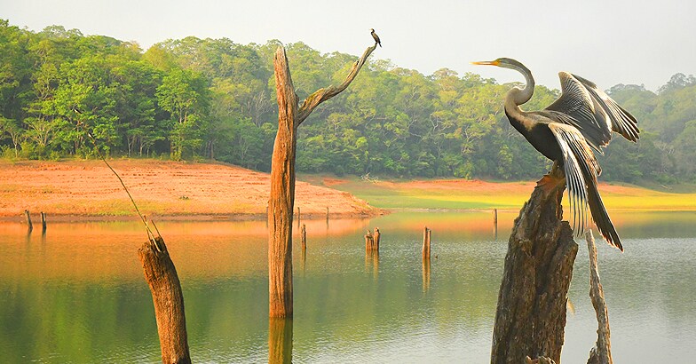 thekkady-view thekkady-view
