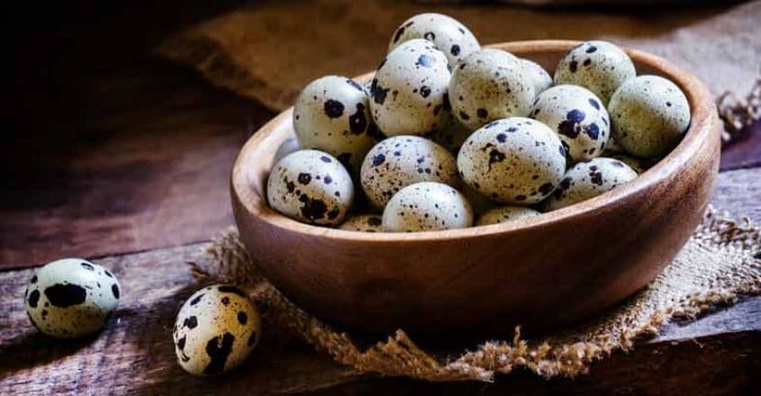 quail-eggs
