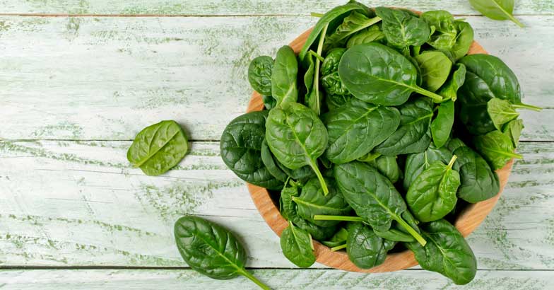 spinach spinach