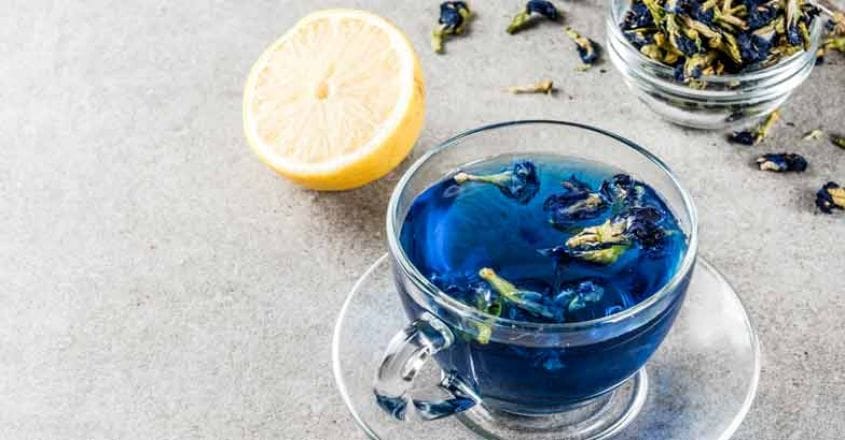 Blue butterfly pea flower tea