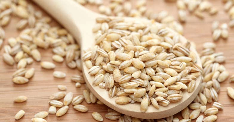 barley barley
