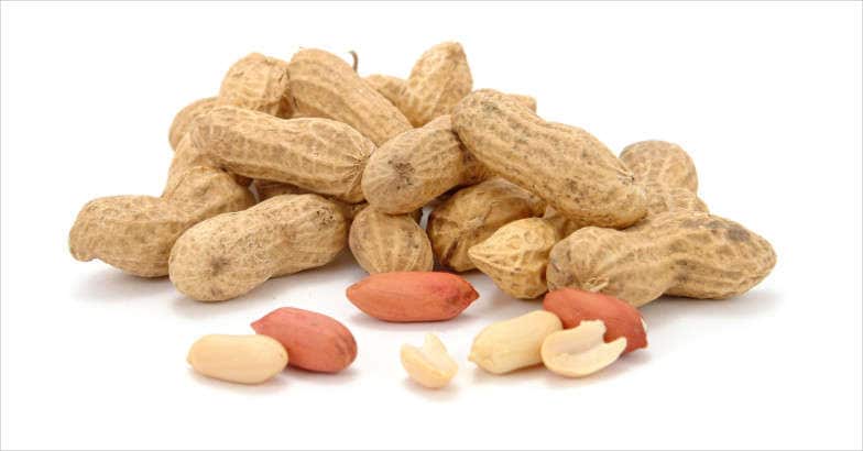 malayalam health tips for cholesterol malayalam health tips for cholesterol