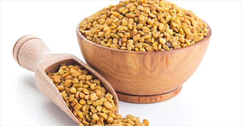 fenugreek fenugreek