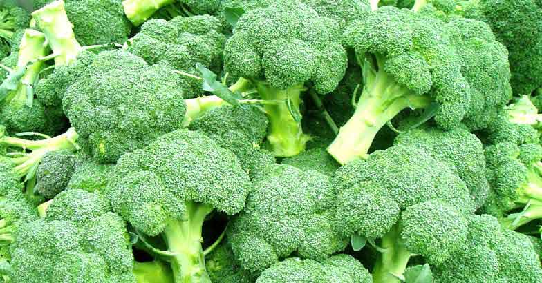 brocoli brocoli