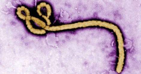 ebola-virus-graphics