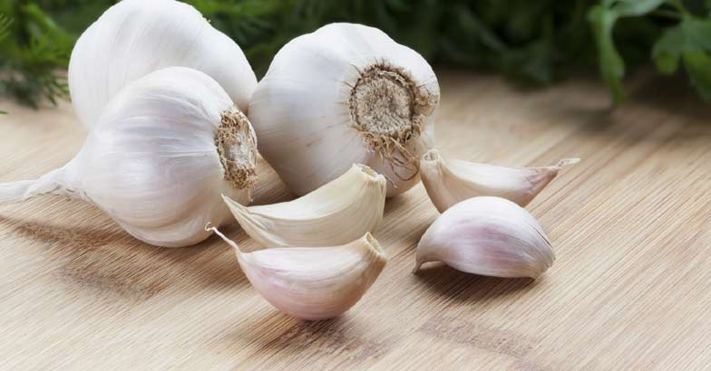 garlic garlic