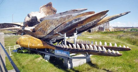 antartic-travelogue-whale-statue