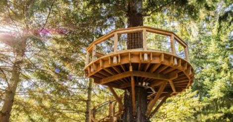 tree-house-design