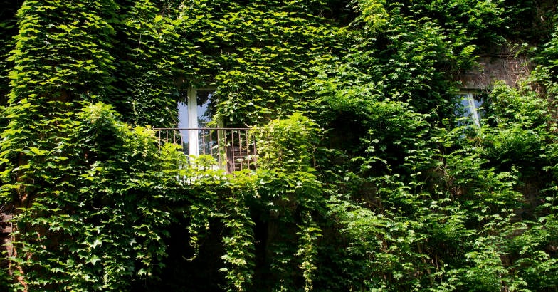 green-interior green-interior