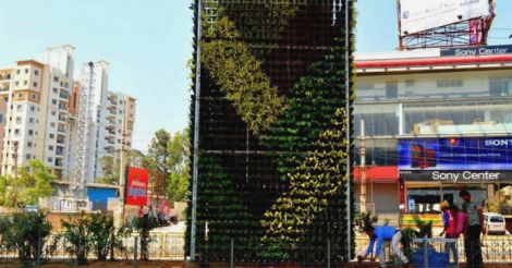 vertical-garden-bengaluru