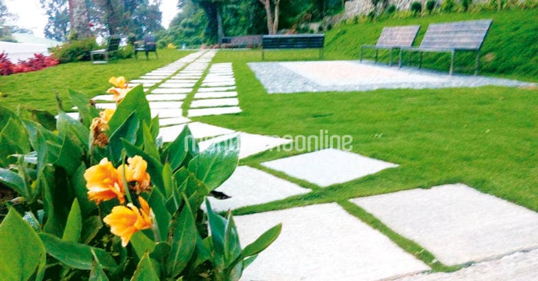 landscaping-new-trends landscaping-new-trends