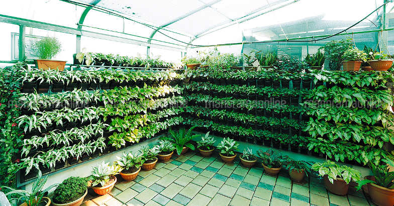 vertical-garden vertical-garden