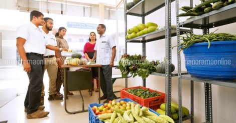 cial-vegetable-shop