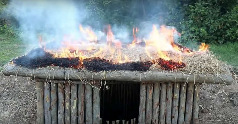 primitive-survival-nest primitive-survival-nest