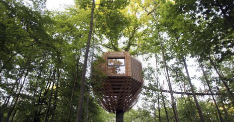 tree-house-france