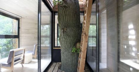 tree-house-interior