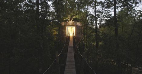 tree-house-walkway