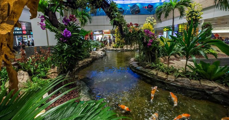 changi-airport-singapore-park changi-airport-singapore-park