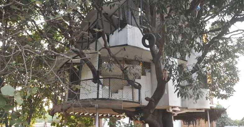 tree-house tree-house