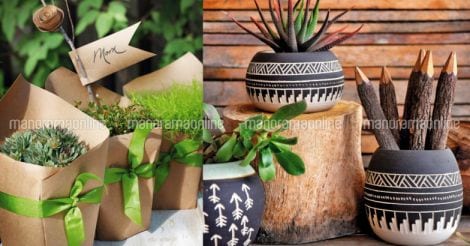 gifting-plants