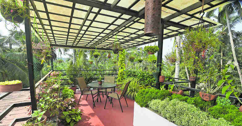 plot-based-home-garden plot-based-home-garden