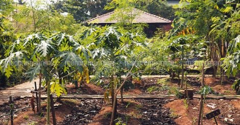 govardhan-eco-village-farm