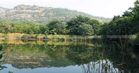 govardhan-eco-village-pond