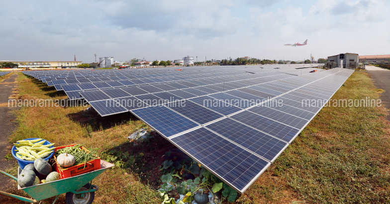 cial-solar-panel-vegetable-farming cial-solar-panel-vegetable-farming