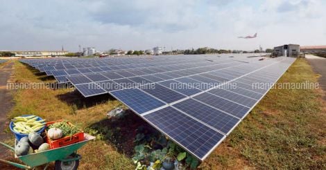 cial-solar-panel-vegetable-farming