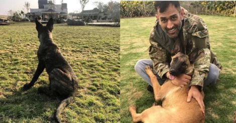 dhoni-with-dog