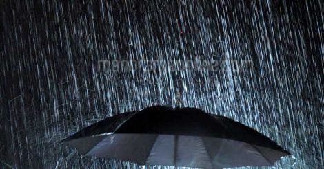 rain-umbrella rain-umbrella