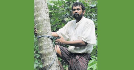 shaju-on-coconut-tree