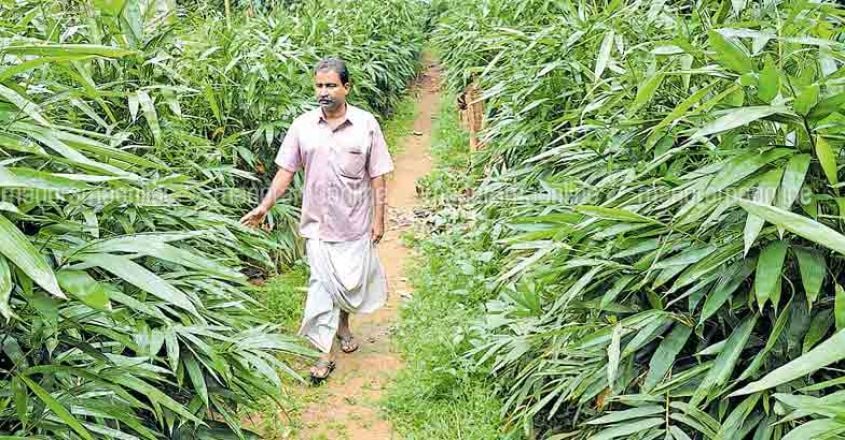 farmer-tr-rajappan