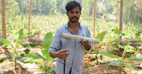 drip-irrigation-by-plantain-farmer-santhosh