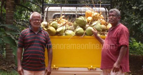 chouta-brothers-coconut-farmers