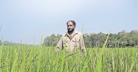 award-winner-sadanandan-farmer