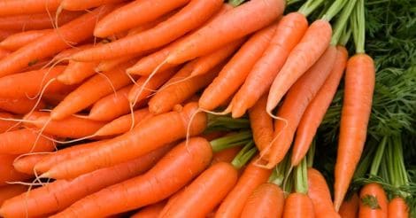 carrot-vegetable