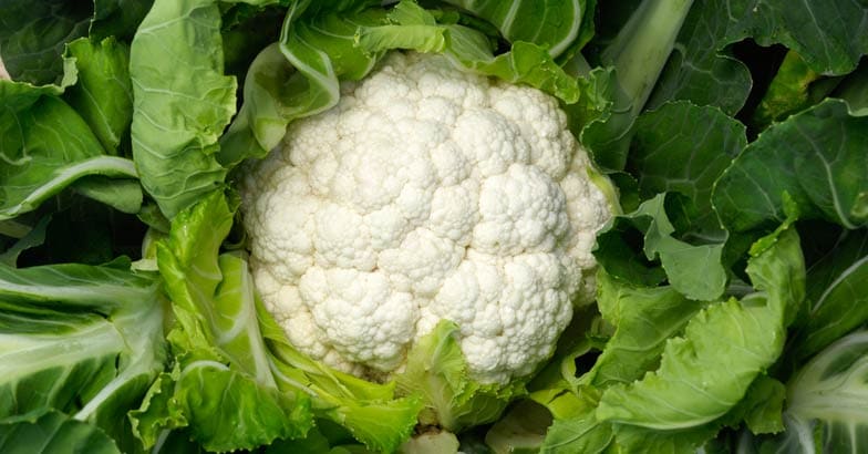cauliflower-vegetable cauliflower-vegetable