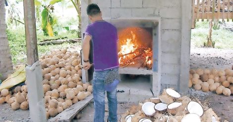 Small farmers in the Philippines reach first milestone towards the production of sustainable coconut oil / Kleinbauern auf den Philippinen erreichen ersten Meilenstein auf dem Weg zur Herstellung von nachhaltigem Kokosöl