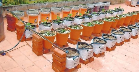 Low-cost-drip-irrigation-system