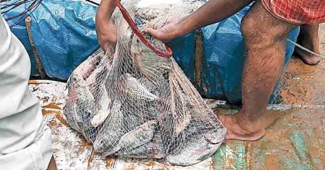 Fish-Net