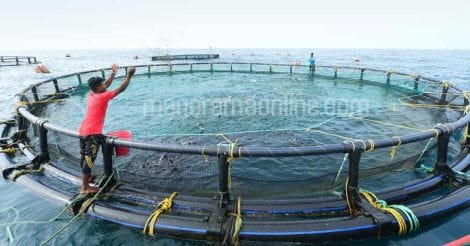 fish-cages-in-sea