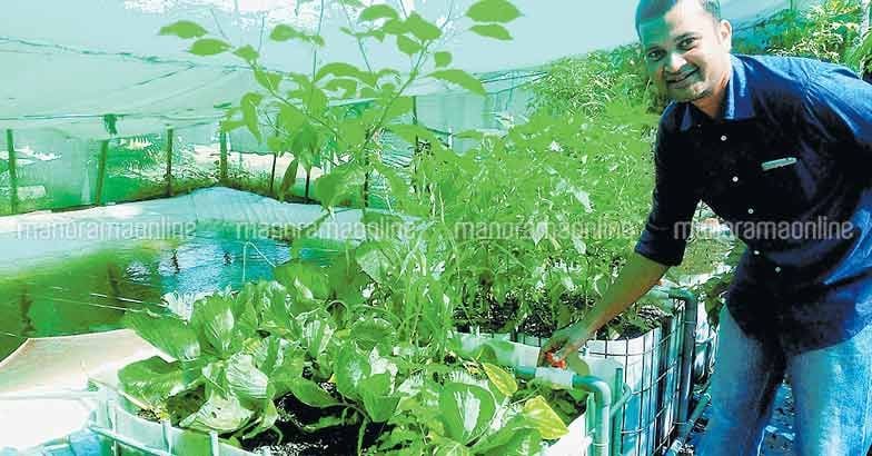 aquaponics in kerala malayalam - aquaponic