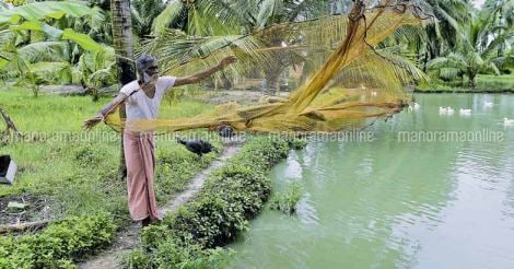fish-farmer-krishnan
