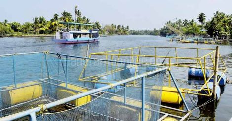 cage-based-aquaculture