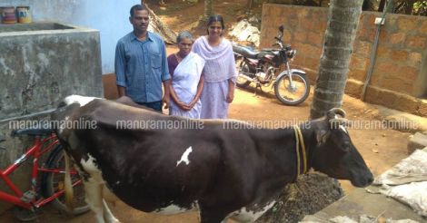 pushpadharan-with-cow