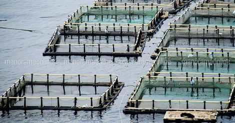 cage-fish-farming